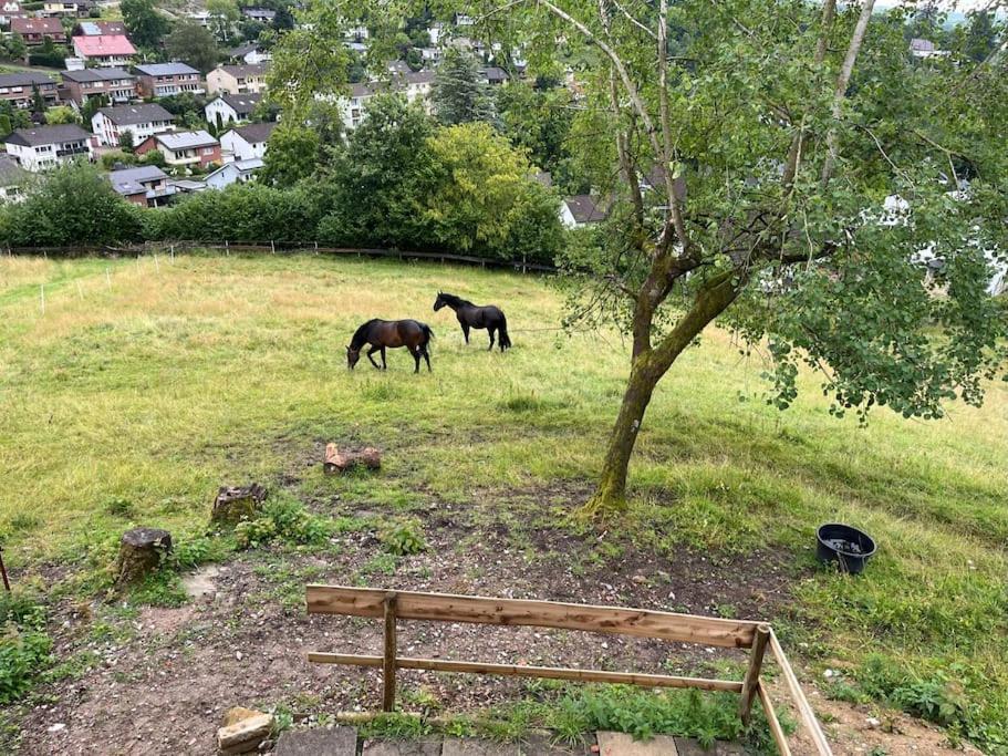 Altes Bauernhaus In Der Natur 代特莫尔德 外观 照片
