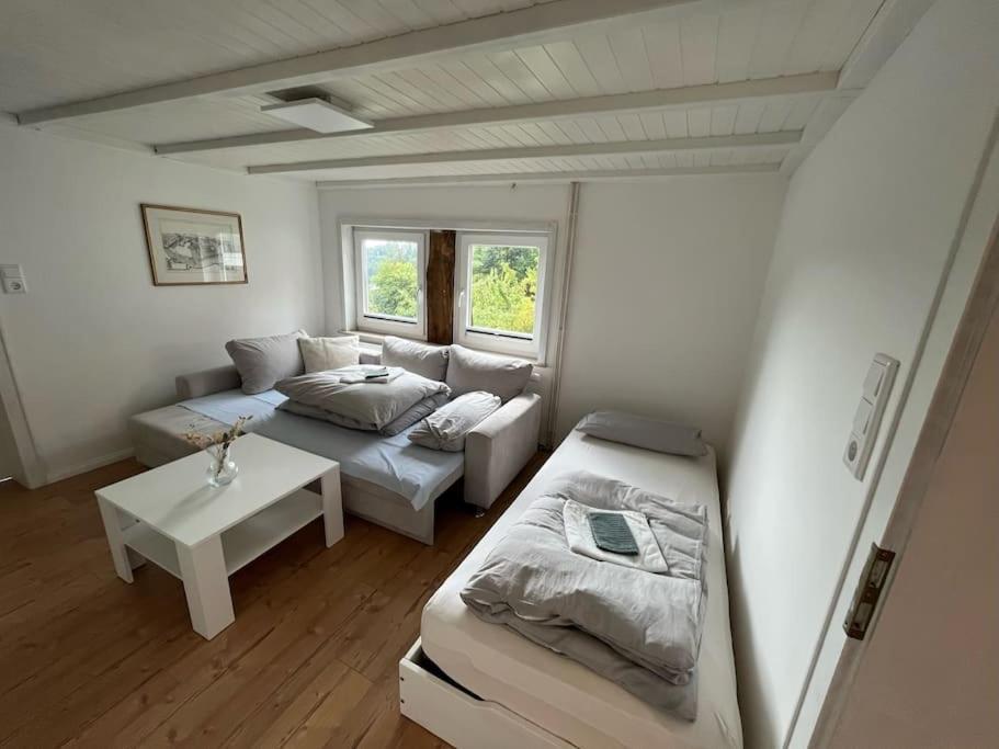 Altes Bauernhaus In Der Natur 代特莫尔德 外观 照片
